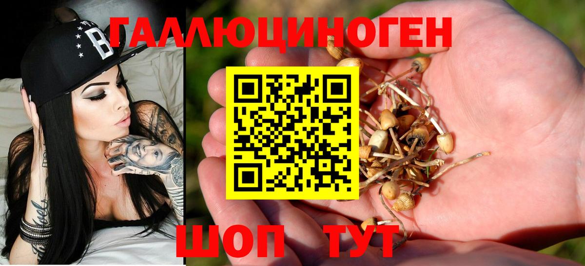 цена   Вход с VPN  Осинники  Псилоцибиновые грибы GOLDEN TEACHER  Галлюциногенные грибы Psilocybine cubensis 